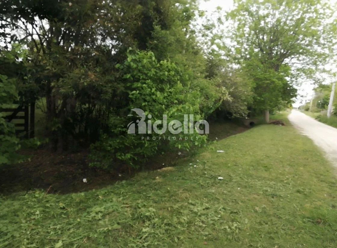 Terreno / Lote en venta de 639m2 ubicado en Los Naranjos - Imagen 2
