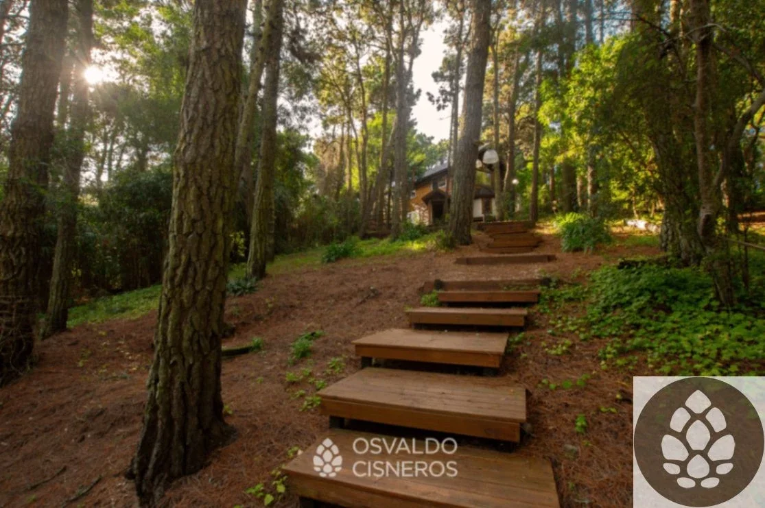 Barca Grande | Cabaña de 2 dormitorios en el bosque de Mar de las Pampas - Imagen 2