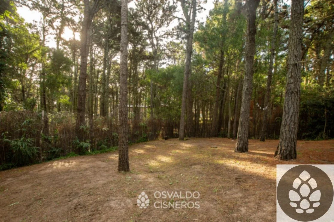 Barca Grande | Cabaña de 2 dormitorios en el bosque de Mar de las Pampas - Imagen 5