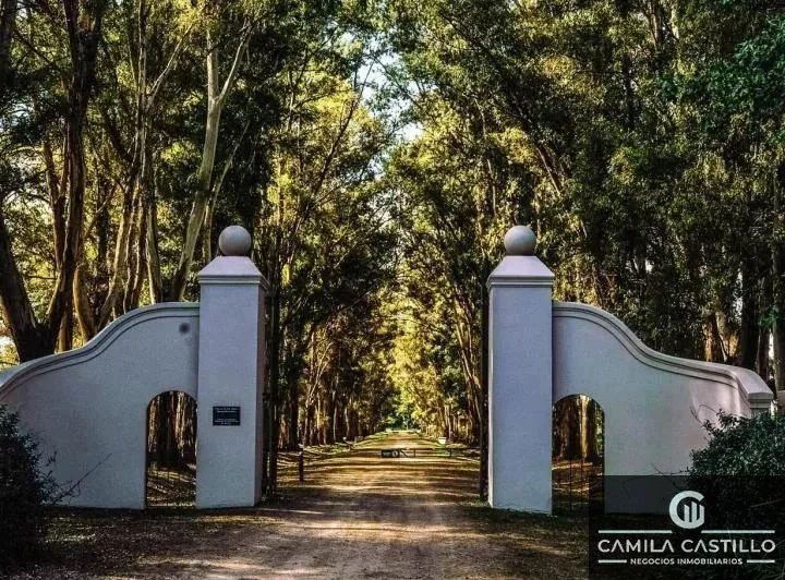 Terreno / Lote en venta de 2004m2 ubicado en Chacras de San Andrés - Imagen 1