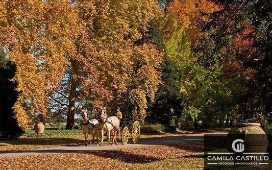 Terreno / Lote en venta de 1300m2 ubicado en Ezeiza - Imagen 3