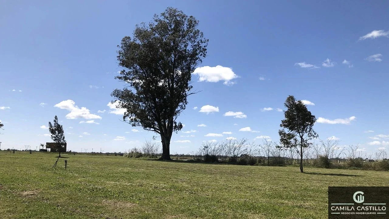 Terreno / Lote en venta de 715m2 ubicado en Canning - Imagen 2