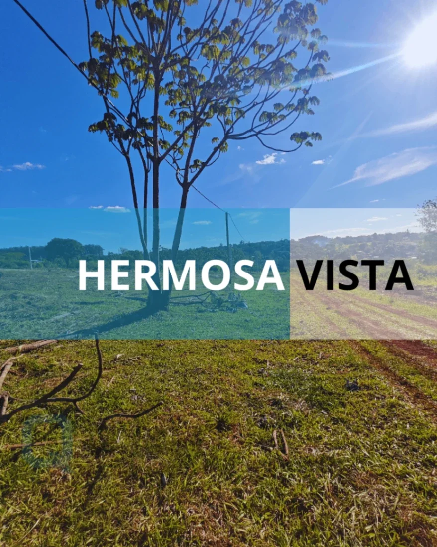 Terreno / Lote en venta de 406.25m2 ubicado en Oberá - Imagen 2