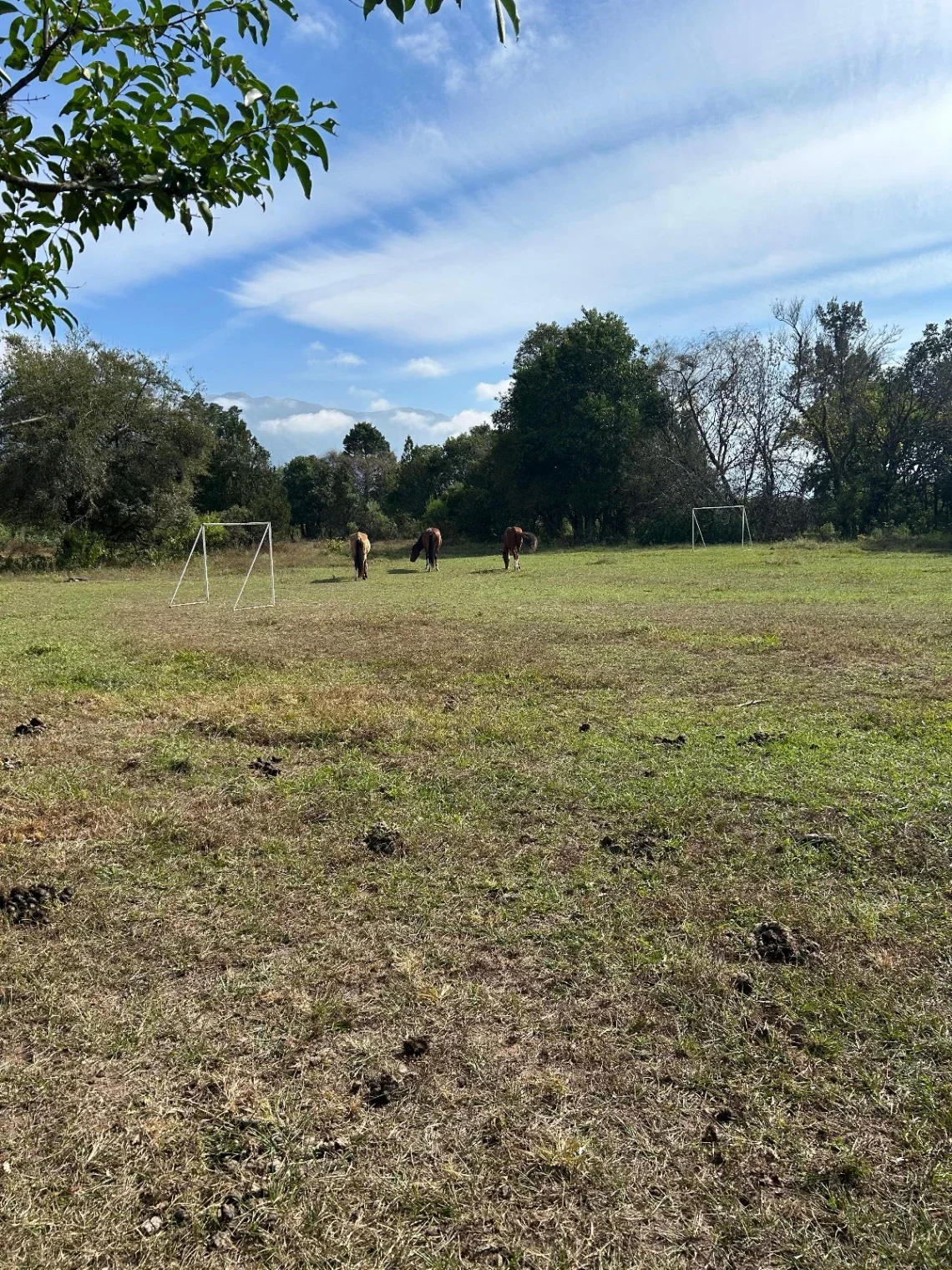 Finca en VENTA de 12 has. - Campo Quijano, Salta - Imagen 5