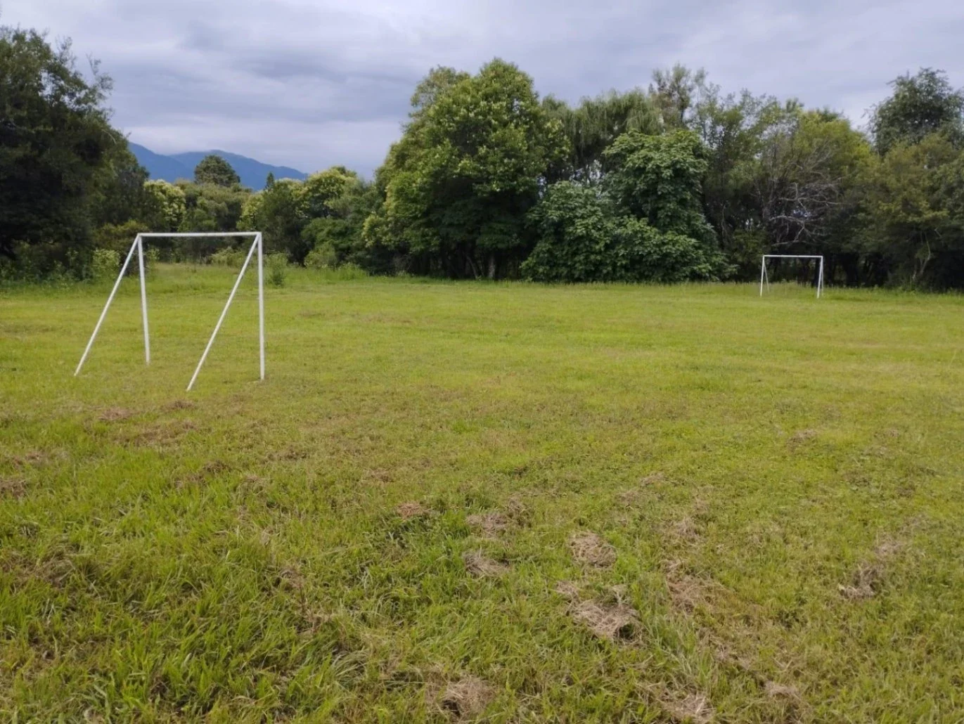 Finca en VENTA de 12 has. - Campo Quijano, Salta - Imagen 4