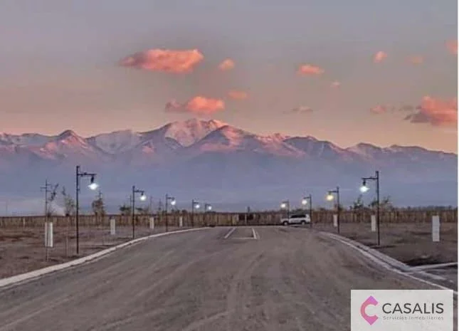 Terreno / Lote en venta de 1000 m2 ubicado en Tupungato - Imagen 1