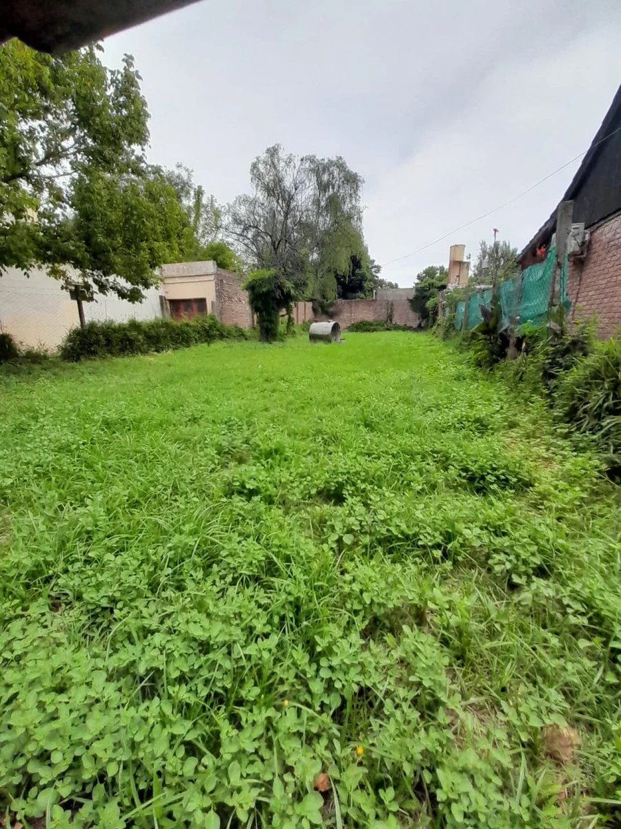 Venta Lote En Bella Vista - Imagen 2