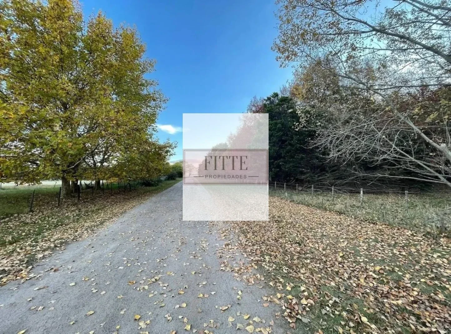 VENTA LOTE CHACRA DE LA ALAMEDA 12.507m2 ubicado en Carmen de Areco Prov. Bs As. - Imagen 2