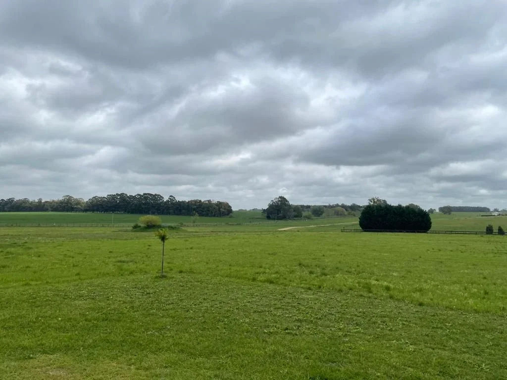 UNICO Lote en venta de 20945m2 ubicado en Quebradas Baradero - Imagen 5
