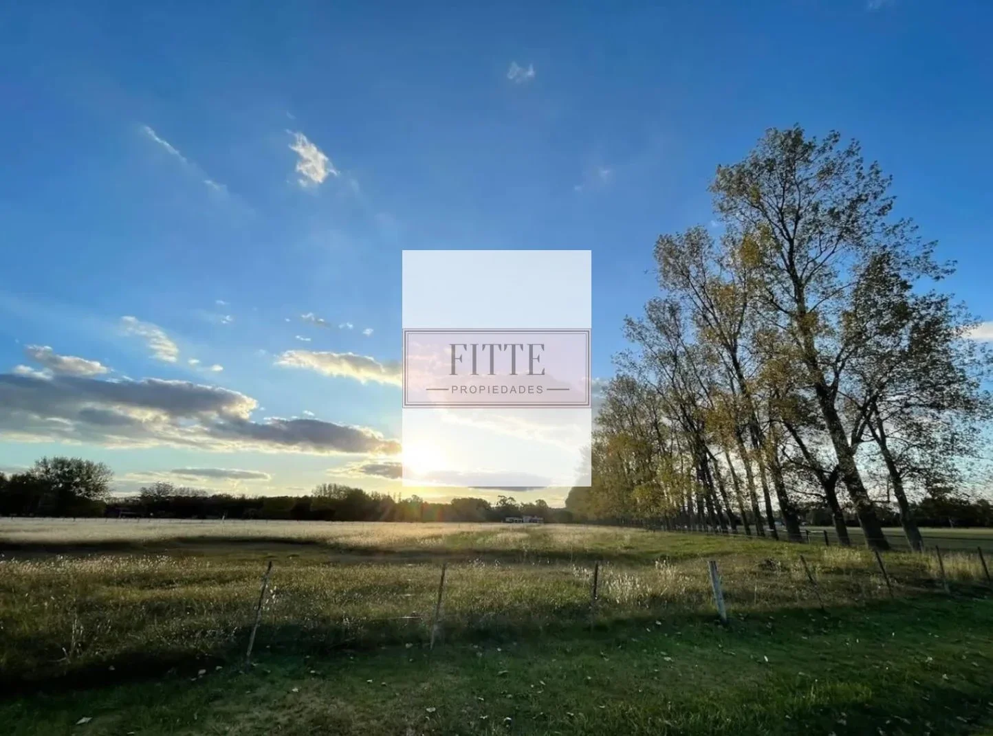 VENTA LOTE CHACRA DE LA ALAMEDA 12.507m2 ubicado en Carmen de Areco Prov. Bs As. - Imagen 1